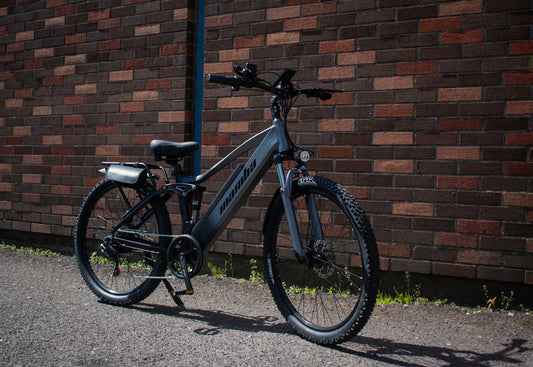 Mamba Venom Electric Bike