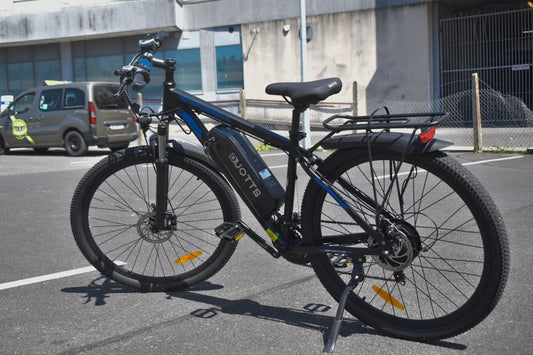 Powerful 750W electric bike – side profile with 29 inch tyres

