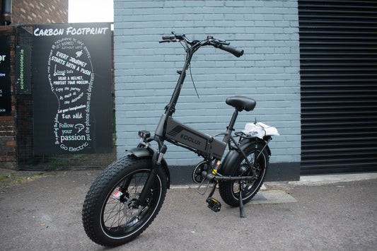 Fat tyre electric bike with 250W hub motor 